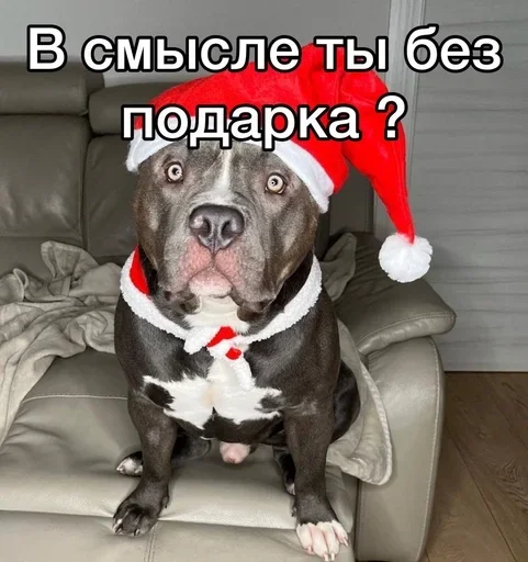 Стикер lifeytNY - 1