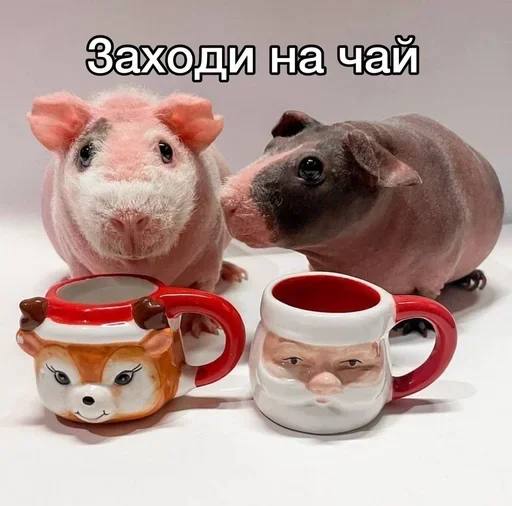 Стикер lifeytNY - 1