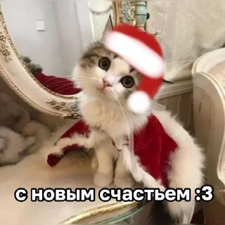 Sticker ЖЮ 🧡 Видео - НГ | @Lifeyt - 7