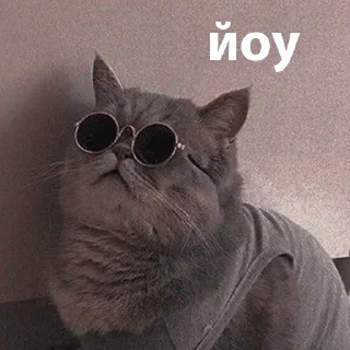 Стикер котики від @lilkamomil - 0