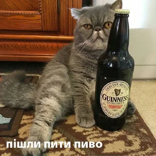 Стикер котики від @lilkamomil - 1