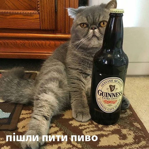 Sticker lilkotyky - 1