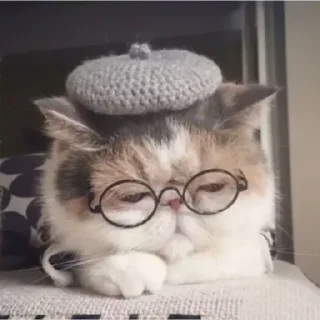 Стикер котики від @lilkamomil - 8