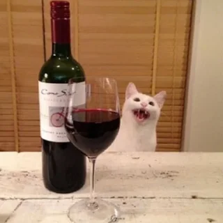 Стикер котики від @lilkamomil - 7