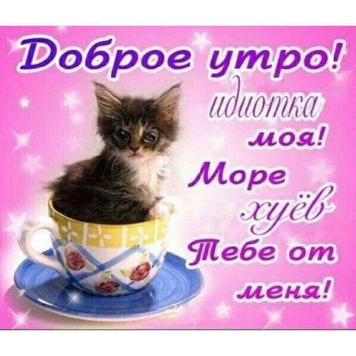 Sticker lilpaukk - 1