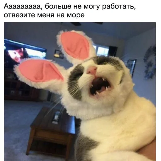 Sticker lilu_rami - 1