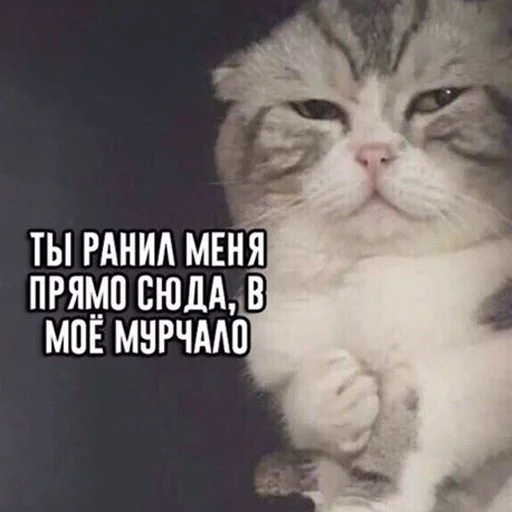 Sticker lilu_rami - 1