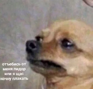 Стикер lilu_rami - 7