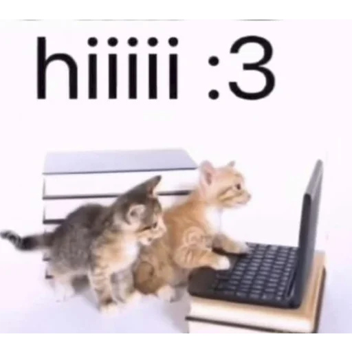 Sticker limpshrimp - 1