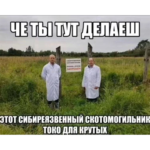 Sticker limpshrimp - 1