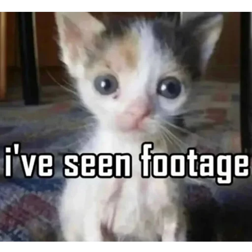 Sticker limpshrimp - 1