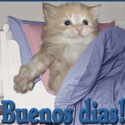 Стикер limpshrimp - 1