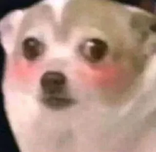 Sticker mem🤘🏾 - 1