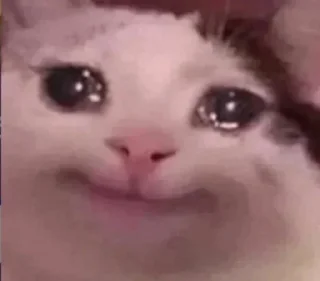 Sticker mem🤘🏾 - 4