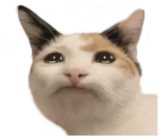 Стикер СТИКИ ➡️ @SOFTSTICKS - 3