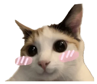 Стикер СТИКИ ➡️ @SOFTSTICKS - 1