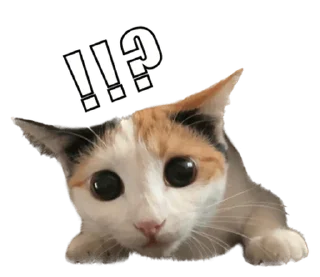 Стикер СТИКИ ➡️ @SOFTSTICKS - 9