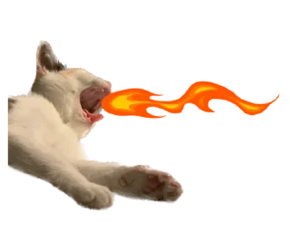 Стикер СТИКИ ➡️ @SOFTSTICKS - 4