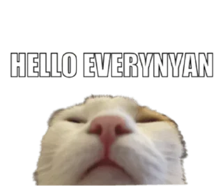 Стикер СТИКИ ➡️ @SOFTSTICKS - 7