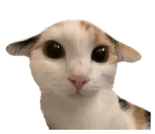 Стикер СТИКИ ➡️ @SOFTSTICKS - 5