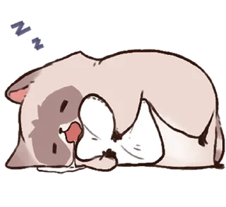 Стикер енотик ! @svalkablin 🐾 - 10