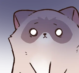 Стикер енотик ! @svalkablin 🐾 - 2