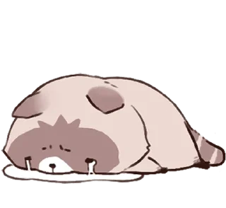 Стикер енотик ! @svalkablin 🐾 - 4