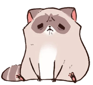 Стикер енотик ! @svalkablin 🐾 - 7