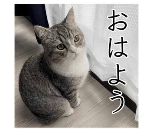 もち様スタンプ - 