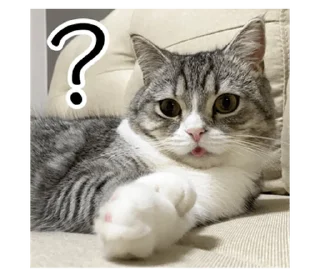 Стикер もち様スタンプ - 3