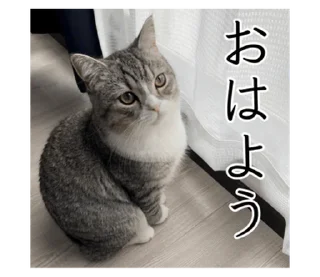 Стикер もち様スタンプ - 7