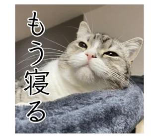 Стикер もち様スタンプ - 8