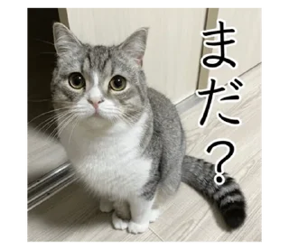 Стикер もち様スタンプ - 11