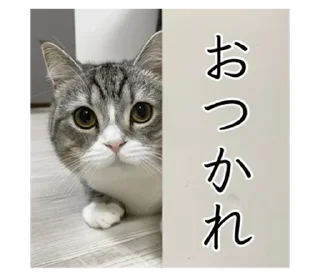 Стикер もち様スタンプ - 10