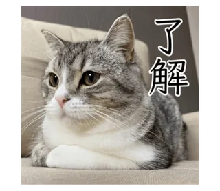 Стикер もち様スタンプ - 4