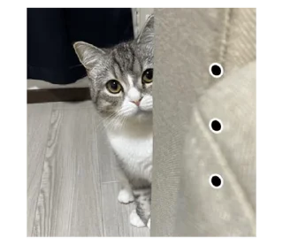 Стикер もち様スタンプ - 6