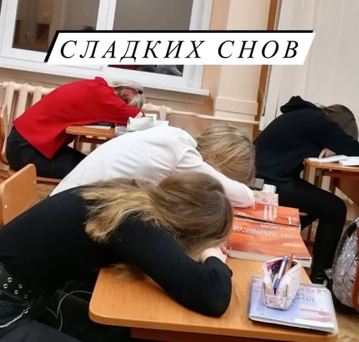 одежда мебель Человек