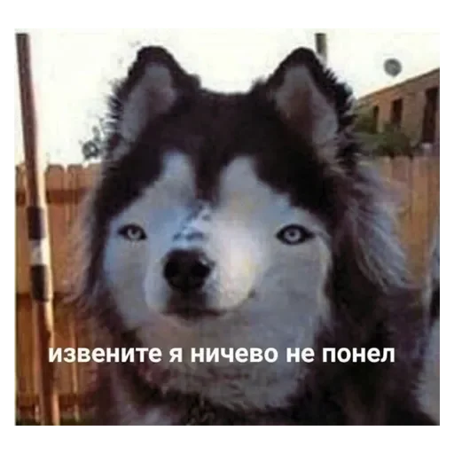 Стикер ~<линка>~ - 6