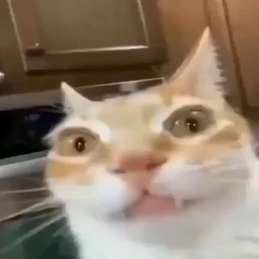 Sticker linkgroupstikersbio - 1