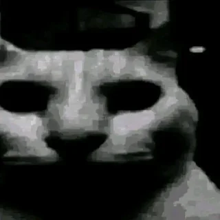 Стикер 🦐Крутые стикеры @zolovka_galupi - 5