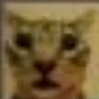 Стикер 🦐Крутые стикеры @zolovka_galupi - 0