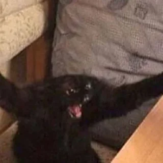 Стикер 🦐Крутые стикеры @zolovka_galupi - 11