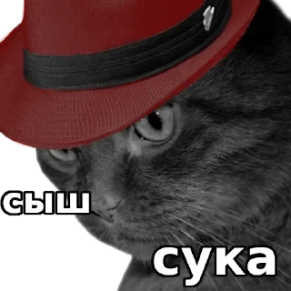 Sticker sudo touch stickerpack_linux - 10