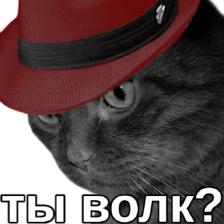 Sticker sudo touch stickerpack_linux - 0