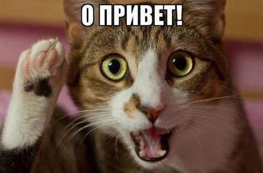 Стикер Fuck the system chat - 11