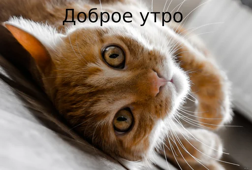 Стикер Fuck the system chat - 8