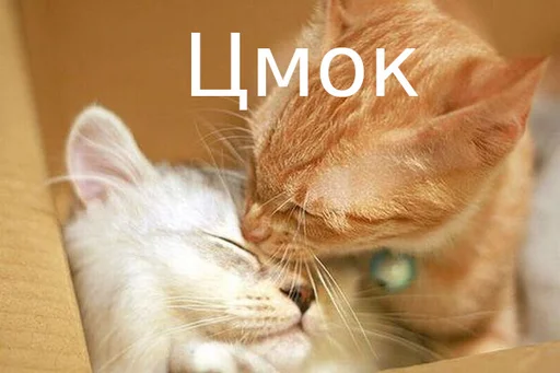 Стикер Fuck the system chat - 7