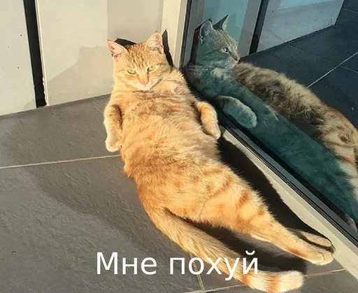 Стикер Fuck the system chat - 6