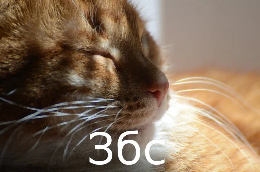 Стикер Fuck the system chat - 4