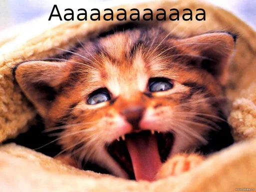 Стикер Fuck the system chat - 2